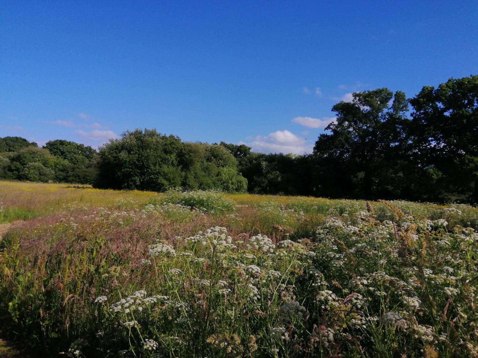 Martha's Retreat Holiday home Wimborne Minster